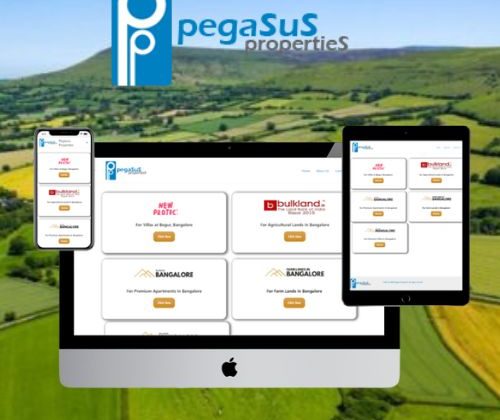 Pegasus Properties