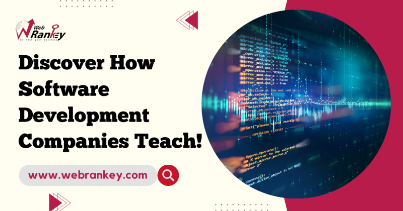 how-software-development-company-teach