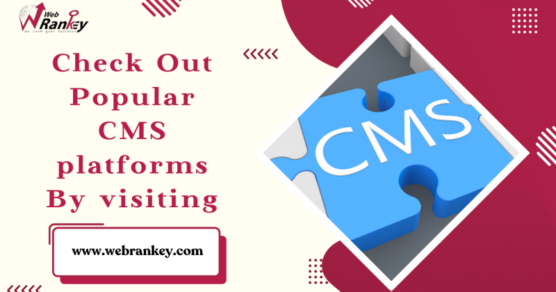 popular-cms-platforms