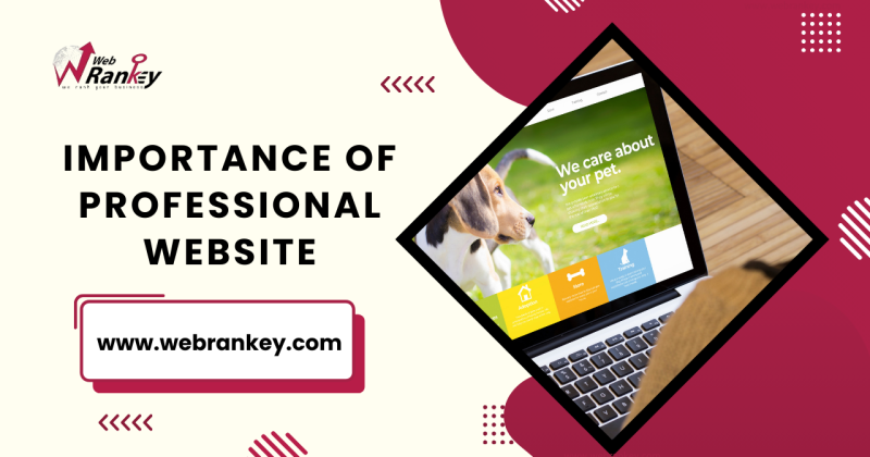 importance-of-professional-website